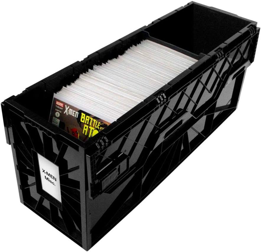 Example of a comic book long boxes